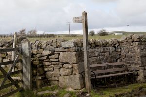 laund house 2.jpg